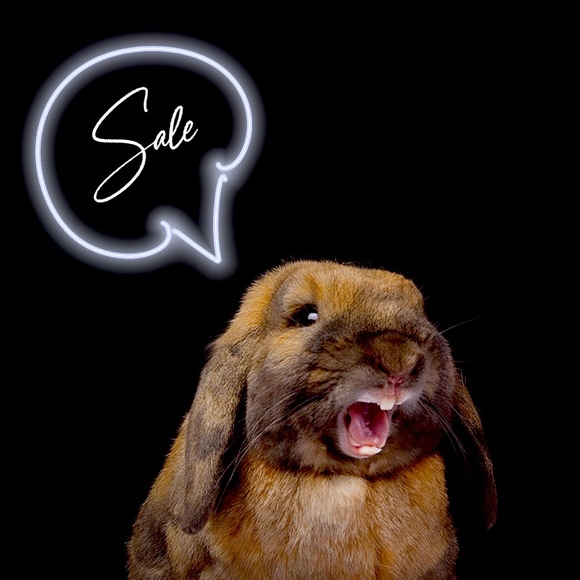 Fall Sales 🍁🍃🍂 - Picture 1 of 1